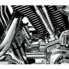 Best deal 🌟 Kuryakyn Rear Cylinder Base Cover For Harley ❤️ -Kuryakyn Sales Store kuryakyn rear cylinder base cover for harley 4
